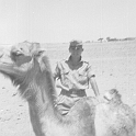 230ATN SMARA